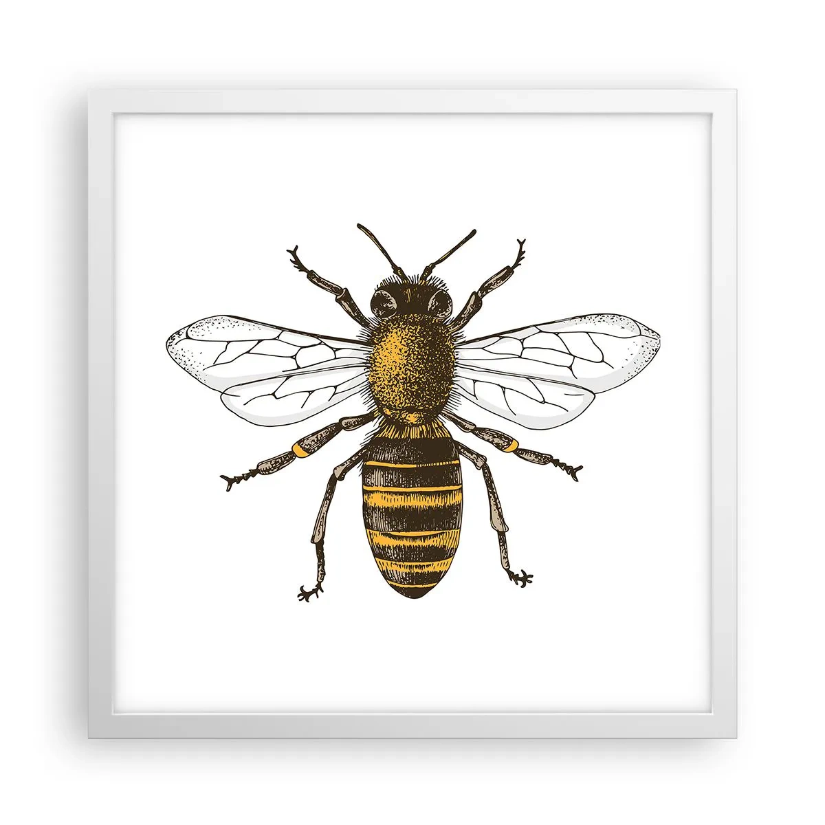 Affiche dans un cadre blanc - Poster - Belle et bonne - 40x40 cm