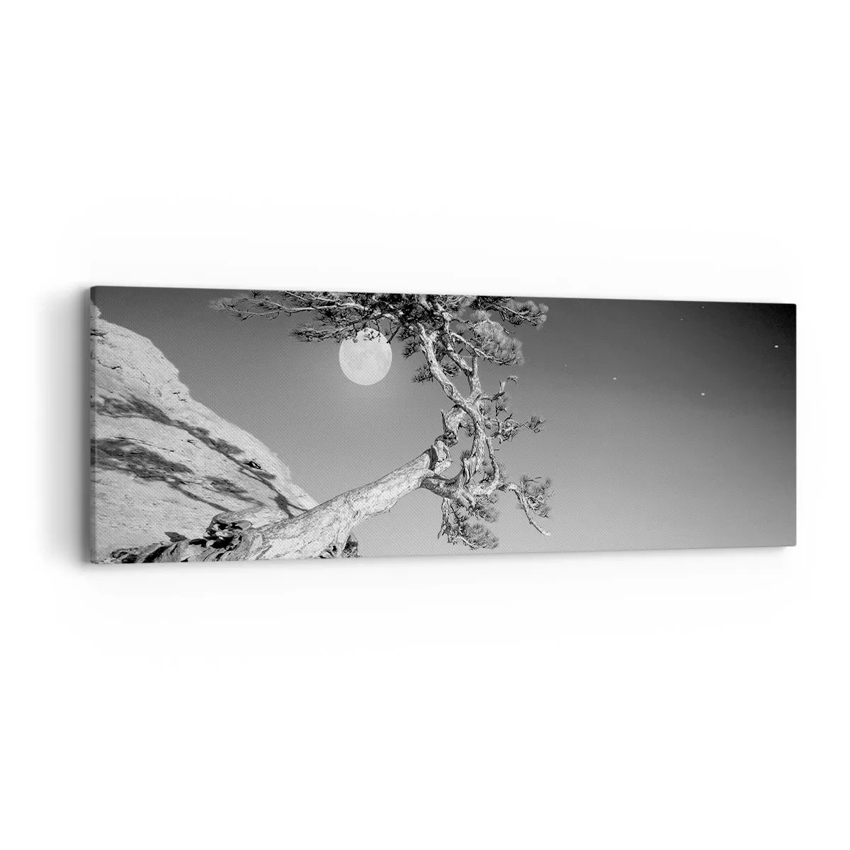 Impression sur toile - Image sur toile - Un combattant vainqueur - 90x30 cm