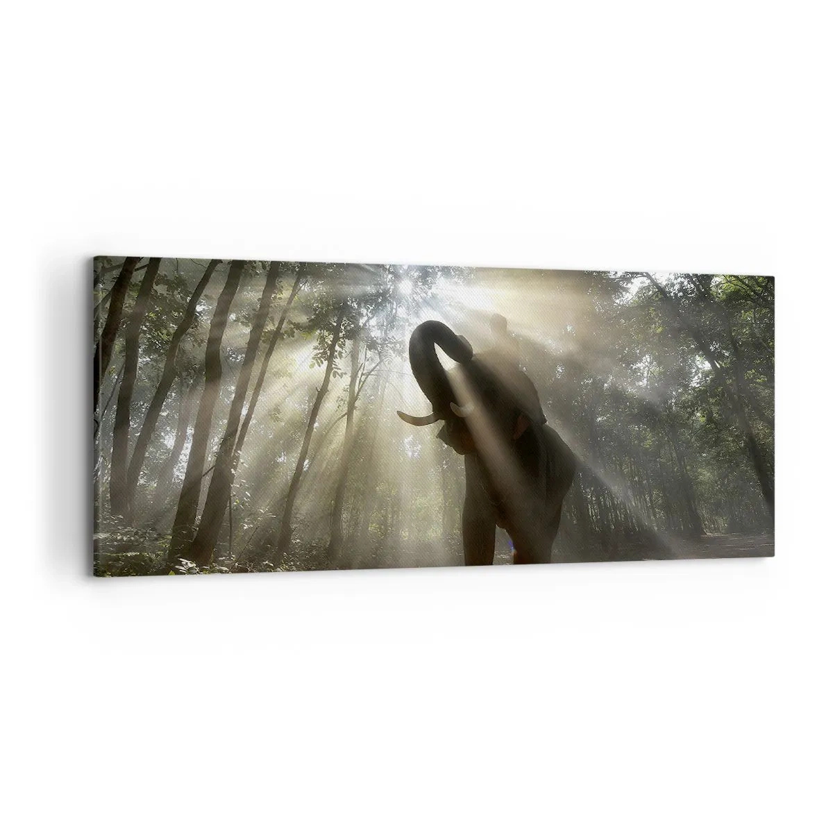 Impression sur toile - Image sur toile - Un éléphant dans la forêt entouré de rayons de lumière dans la brume matinale - 120x50cm - Sous la bonne étoile - Décoration murale moderne pour le salon et la chambre ARTTOR