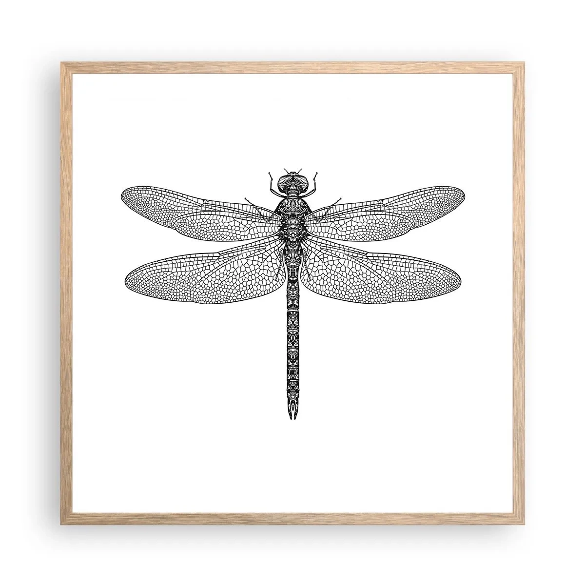 Affiche dans un chêne clair - Poster - Précision de la nature - 60x60 cm