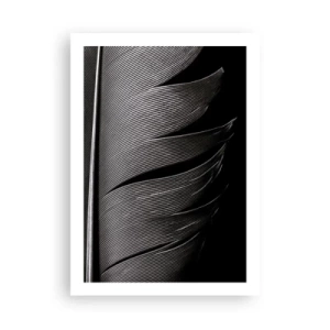 Affiche - Poster - Une version minimaliste d'une plume en noir et blanc - 50x70cm - La plume – un design magnifique - Décoration murale moderne pour le salon et la chambre ARTTOR