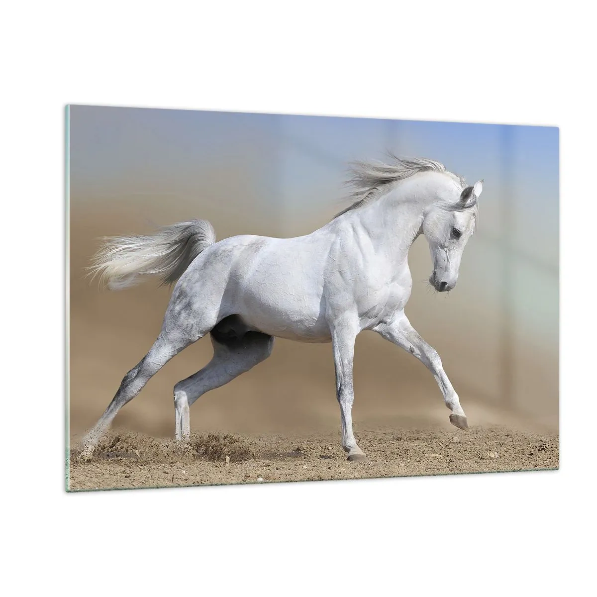 Impression sur verre - Image sur verre - Un cheval blanc galopant sur le sol sablonneux - 120x80cm - Le plus beau conte de fées arabe - Décoration murale moderne pour le salon et la chambre ARTTOR