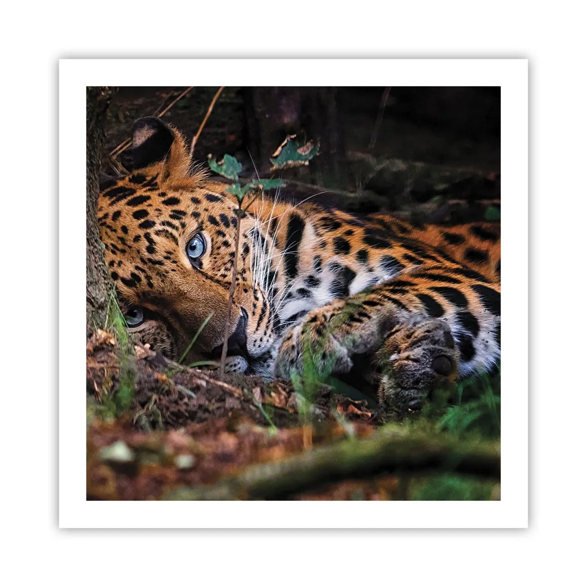 Affiche - Poster - Fais-moi confiance - 60x60 cm