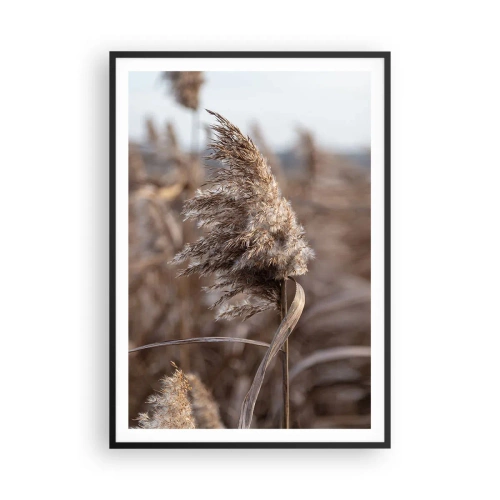 Affiche dans un cadre noir - Poster - Il est temps de s'envoler avec le vent - 70x100 cm