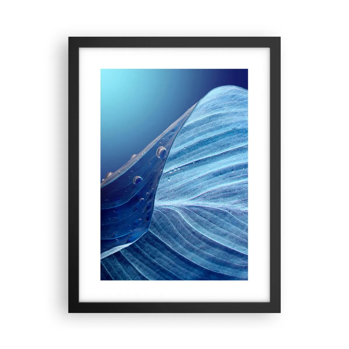 Affiche dans un cadre noir - Poster - Gouttes cachées du bleu - 30x40 cm