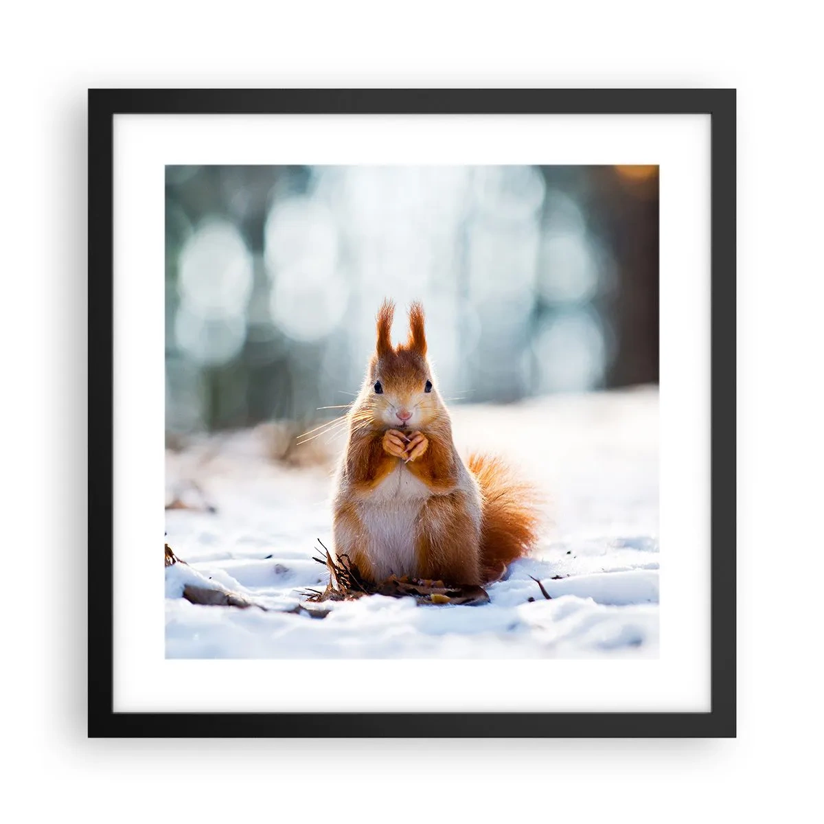 Affiche dans un cadre noir - Poster - Qu'est ce que tu regardes comme ça? - 40x40 cm