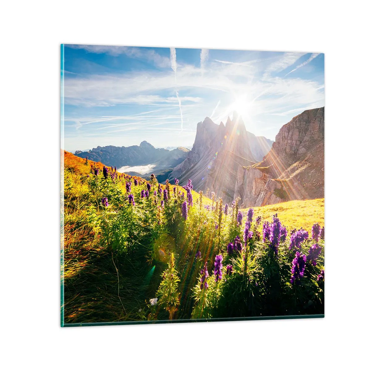 Impression sur verre - Image sur verre - La vie secrète des herbes - 70x70 cm