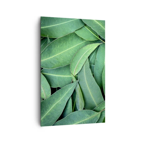 Impression sur toile - Image sur toile - Gros plan de feuilles vertes créant un motif naturel - 80x120cm - Juteux et frais - Décoration murale moderne pour le salon et la chambre ARTTOR