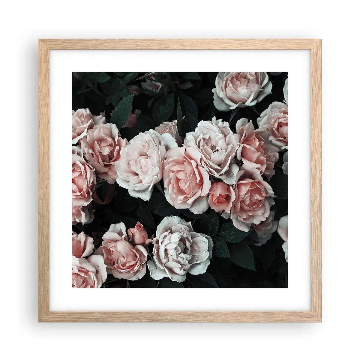 Affiche dans un chêne clair - Poster - Ensemble de rose - 40x40 cm