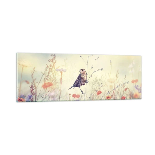 Impression sur verre - Image sur verre - Portrait d'oiseau sur pré en fond - 90x30 cm