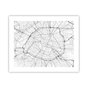 Affiche - Poster - Fleur de Paris - 50x40 cm