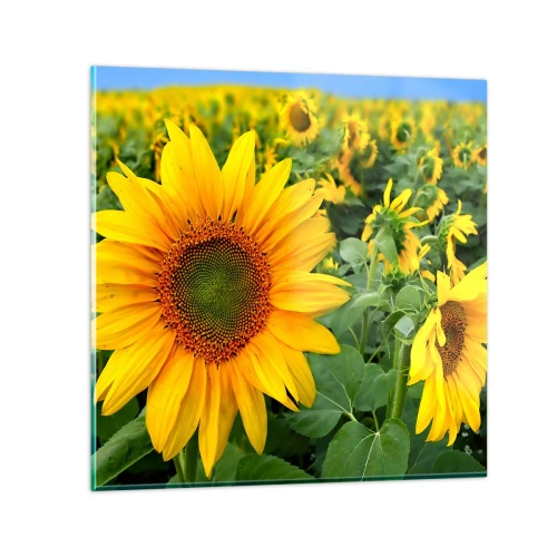 Impression sur verre - Image sur verre - Des centaines de soleils se sont embrasés - 30x30 cm