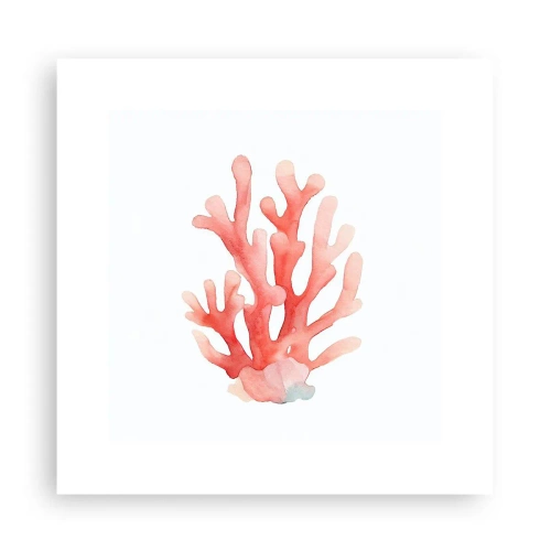 Affiche - Poster - Corail couleur corail - 30x30 cm