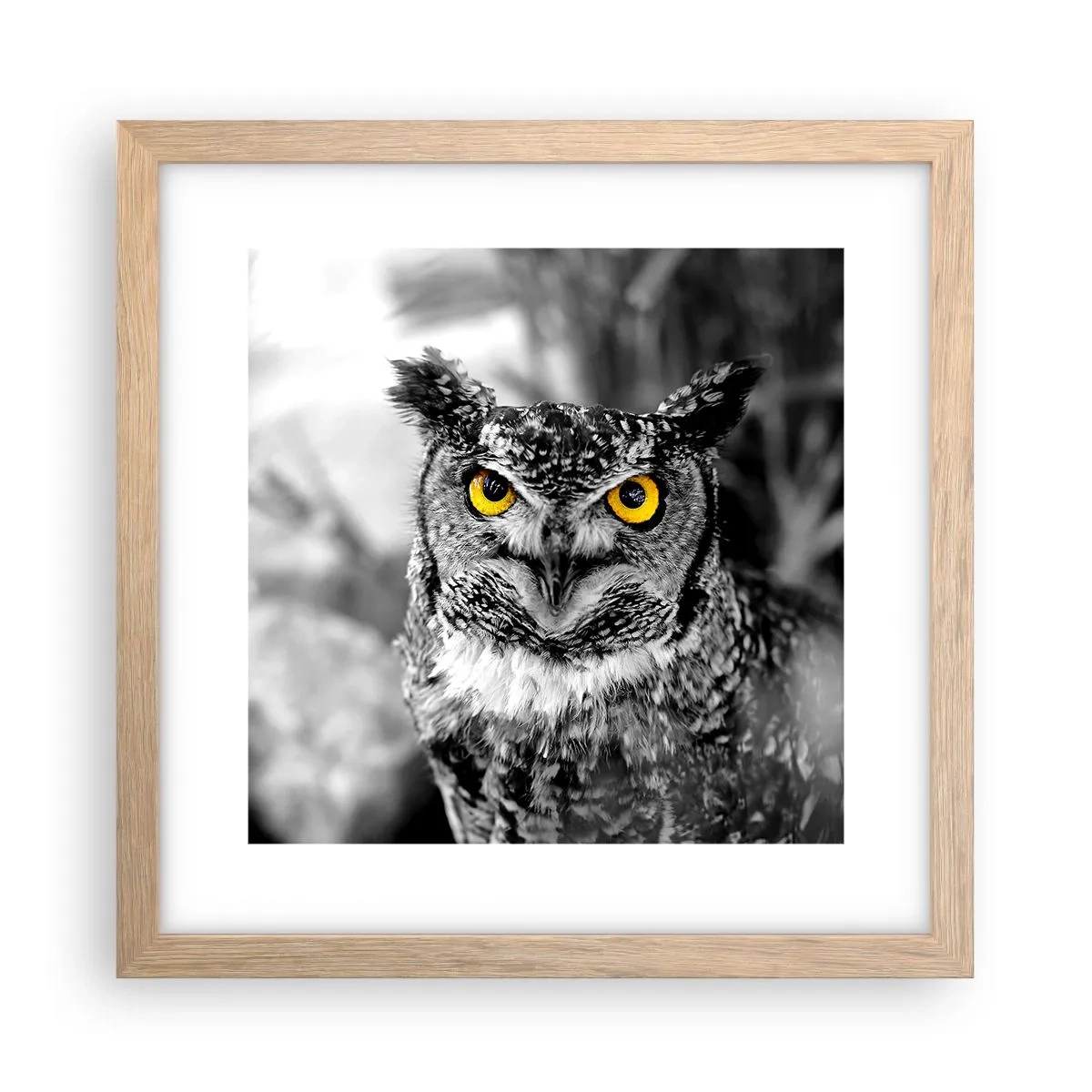 Affiche dans un chêne clair - Poster - Rien ne se cachera - 30x30 cm