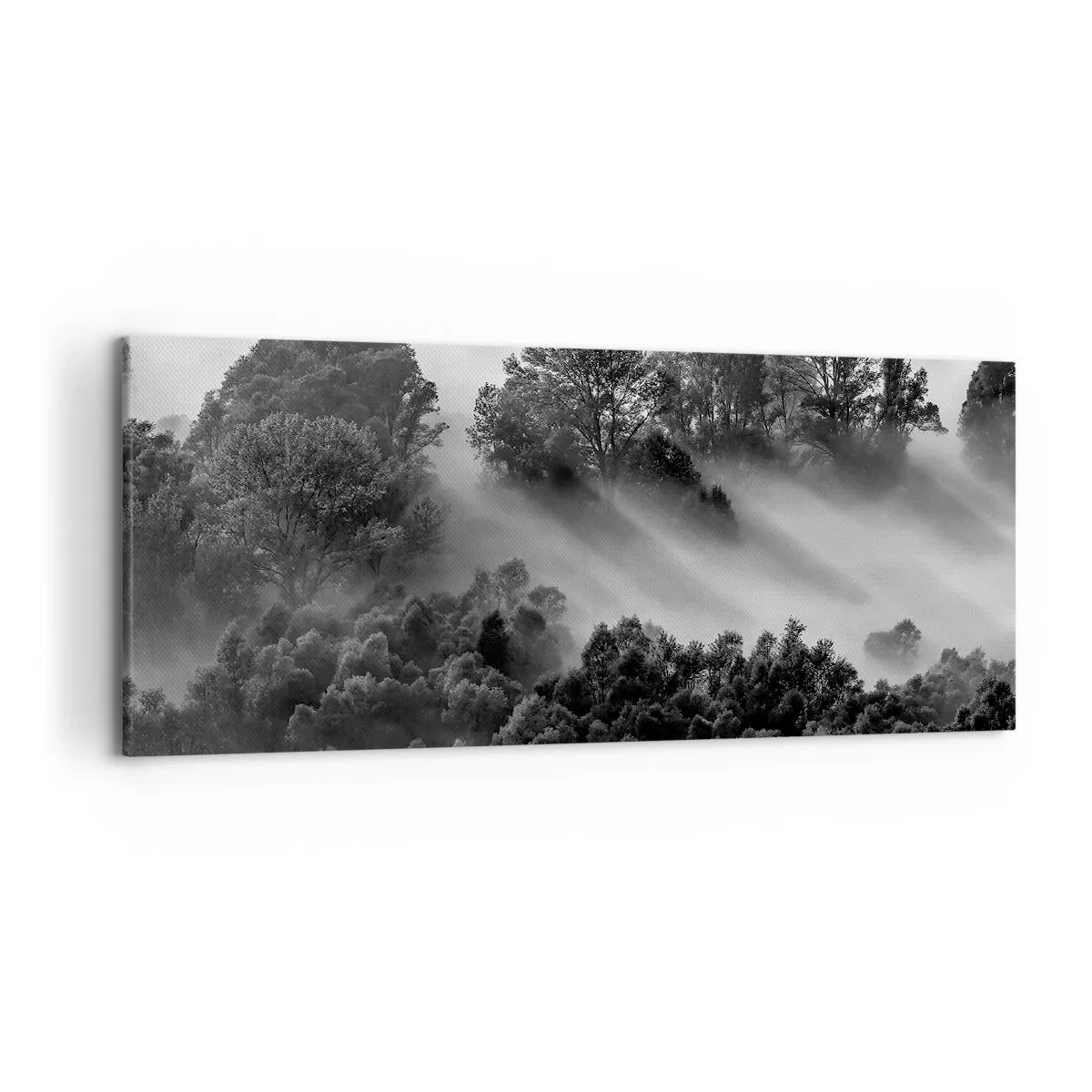 Impression sur toile - Image sur toile - Paysage forestier noir et blanc dans le brouillard du matin - 120x50cm - Sortir de son sommeil - Décoration murale moderne pour le salon et la chambre ARTTOR
