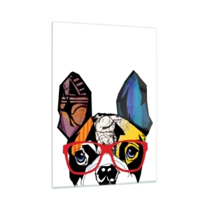 Impression sur verre - Image sur verre - Bouledogue portant des lunettes colorées sur fond blanc - 50x70cm - Intellectuel - Décoration murale moderne pour le salon et la chambre ARTTOR