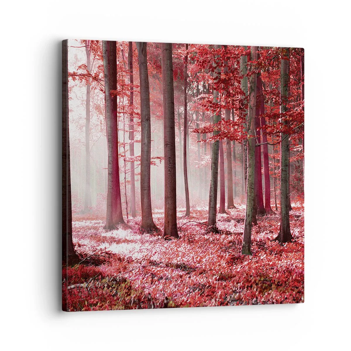 Impression sur toile - Image sur toile - Le rouge est tout aussi beau - 30x30 cm