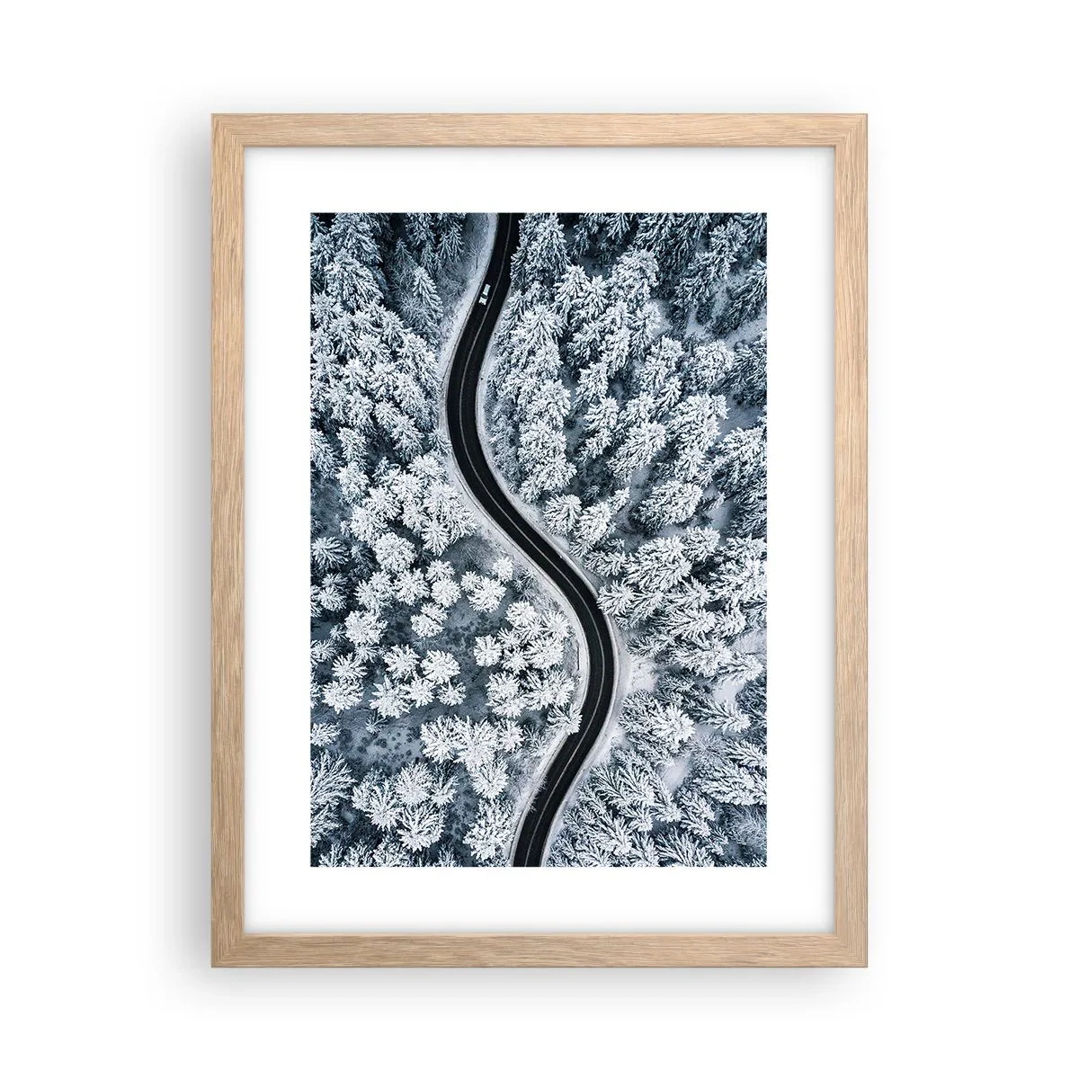 Affiche dans un chêne clair - Poster - À travers une forêt d'hiver - 30x40 cm