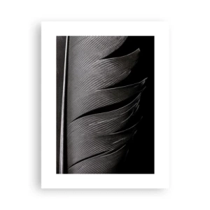 Affiche - Poster - La plume – un design magnifique - 30x40 cm