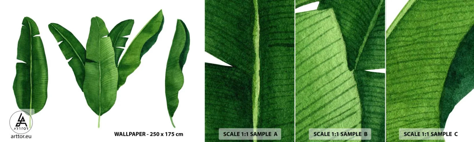 Échantillon de Papier Peint Autocollant Deluxe Sticker - Symétrie verte - Feuille de banane, Tropical, Style Botanique - 100x30 cm