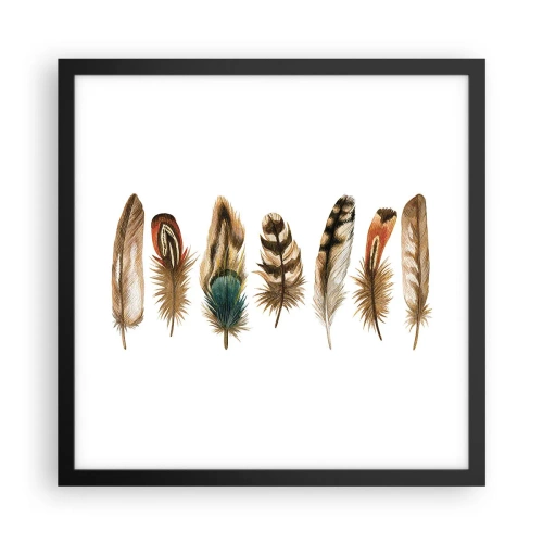 Affiche dans un cadre noir - Poster - Variation à plumes - 40x40 cm