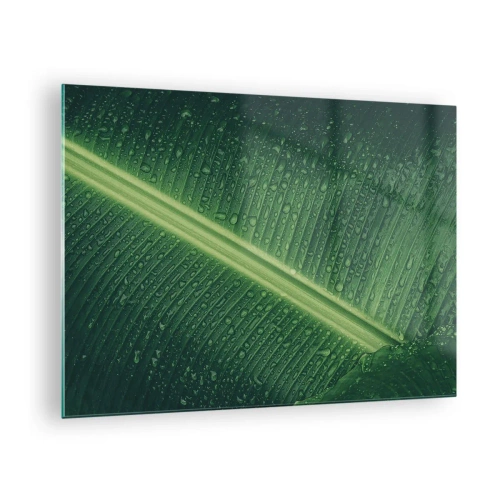 Impression sur verre - Image sur verre - Gros plan d'une feuille verte avec des gouttes d'eau - 70x50cm - Structure de vert - Décoration murale moderne pour le salon et la chambre ARTTOR