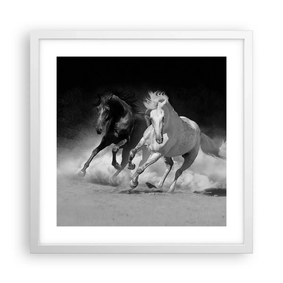 Affiche dans un cadre blanc - Poster - Galop de la liberté - 40x40 cm
