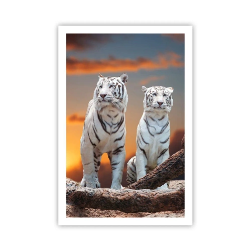 Affiche - Poster - Tout comme à Narnia - 61x91 cm