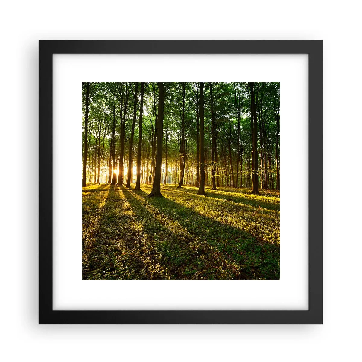 Affiche dans un cadre noir - Poster - Toutes les photographies de printemps - 30x30 cm