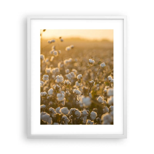 Affiche dans un cadre blanc - Poster - Champ moelleux - 40x50 cm