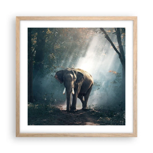 Affiche dans un chêne clair - Poster - Une balade tranquille - 50x50 cm