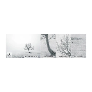 Échantillon de Papier Peint Premium Canvas - Contre le néant - Paysage, Arbre, Nature - 100x30 cm