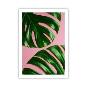 Affiche - Poster - Feuilles de Monstera sur fond rose dans un style minimaliste - 50x70cm - Rendez-vous vert - Décoration murale moderne pour le salon et la chambre ARTTOR