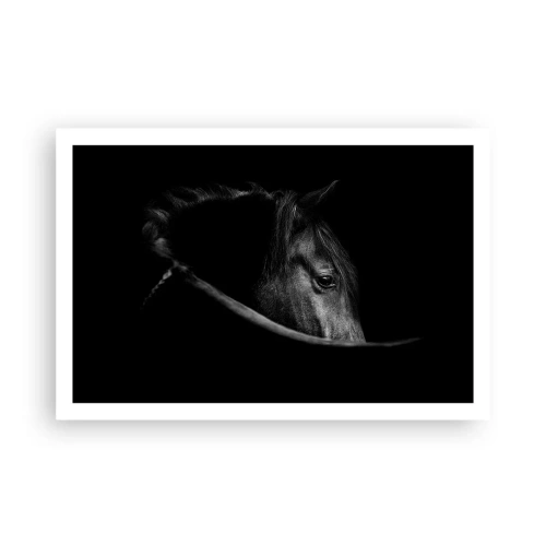 Affiche - Poster - Prince Noir - 91x61 cm
