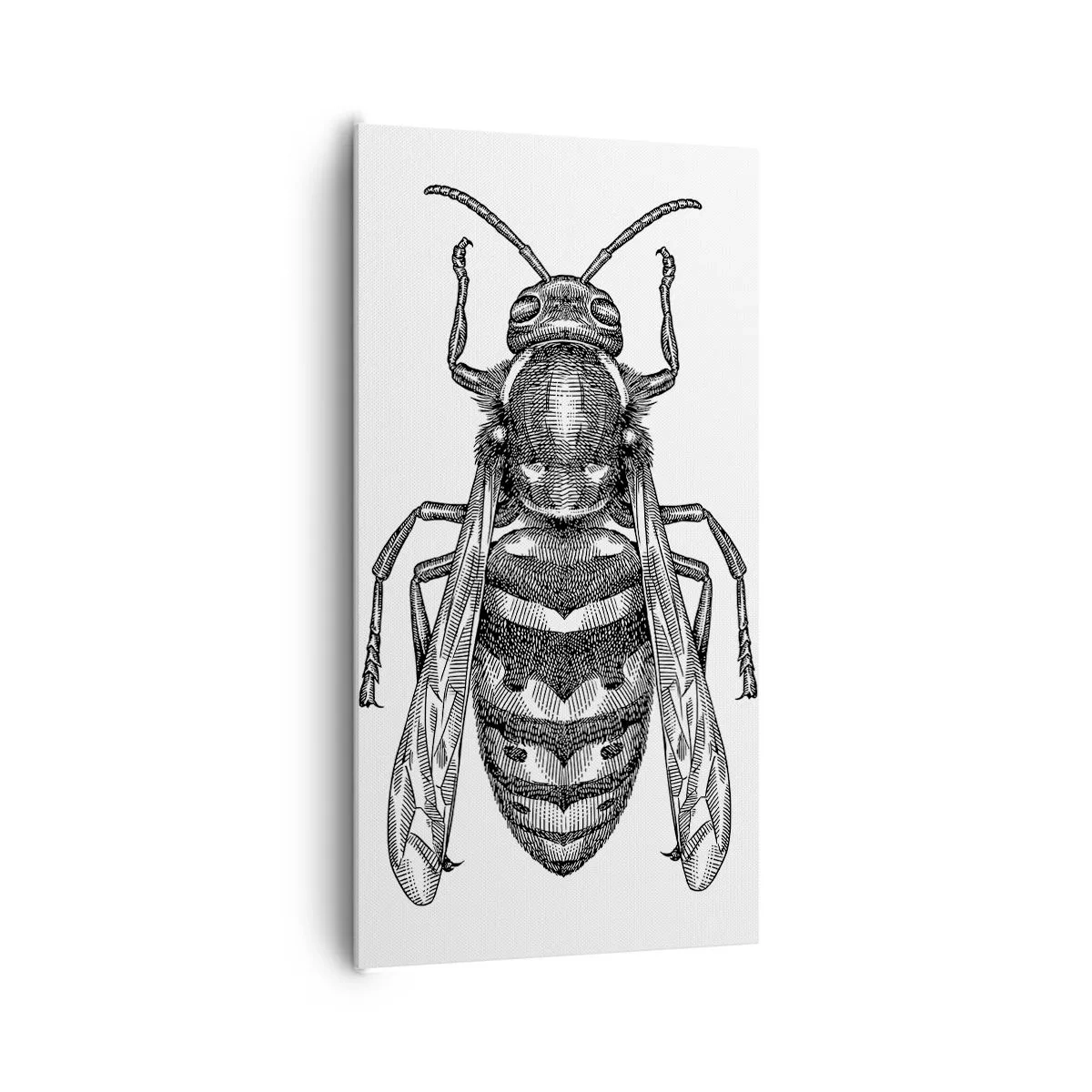 Impression sur toile - Image sur toile - D'une planète d'insectes - 65x120 cm