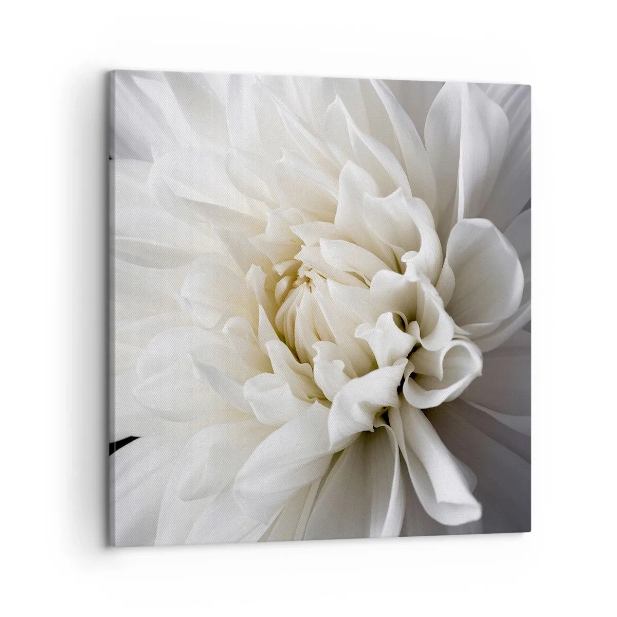 Impression sur toile - Image sur toile - Le matin de la jeune mariéé - 50x50 cm