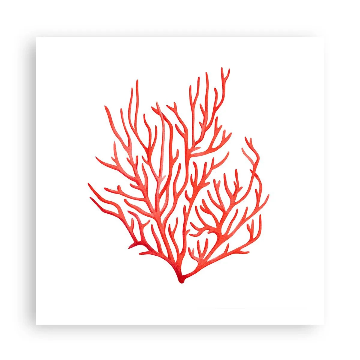 Affiche - Poster - Filigrane de corail - 60x60 cm