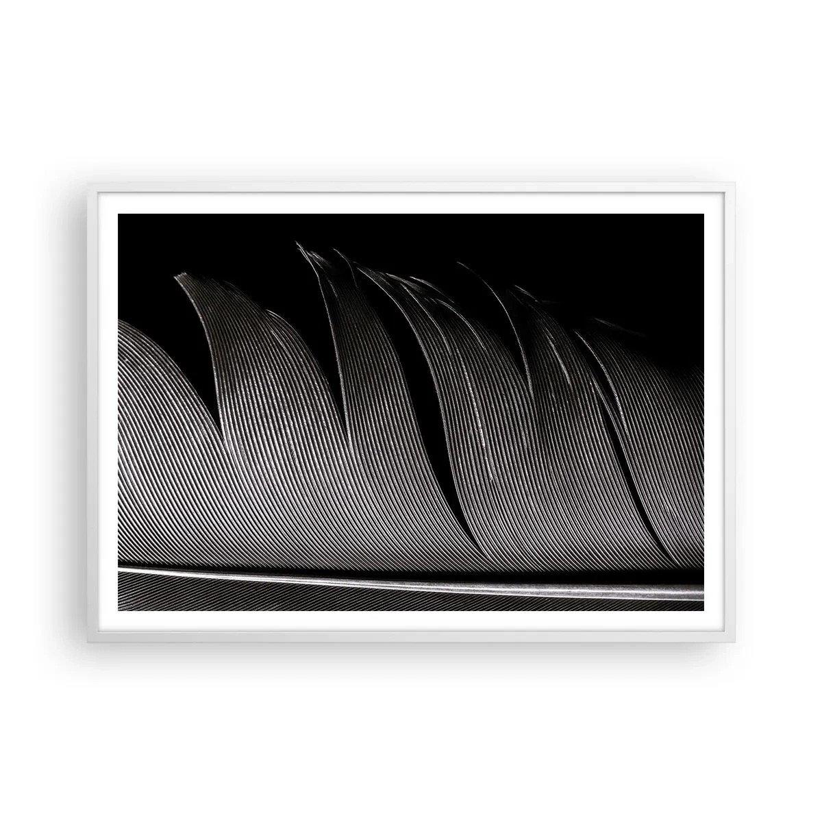 Affiche dans un cadre blanc - Poster - La plume – un design magnifique - 100x70 cm