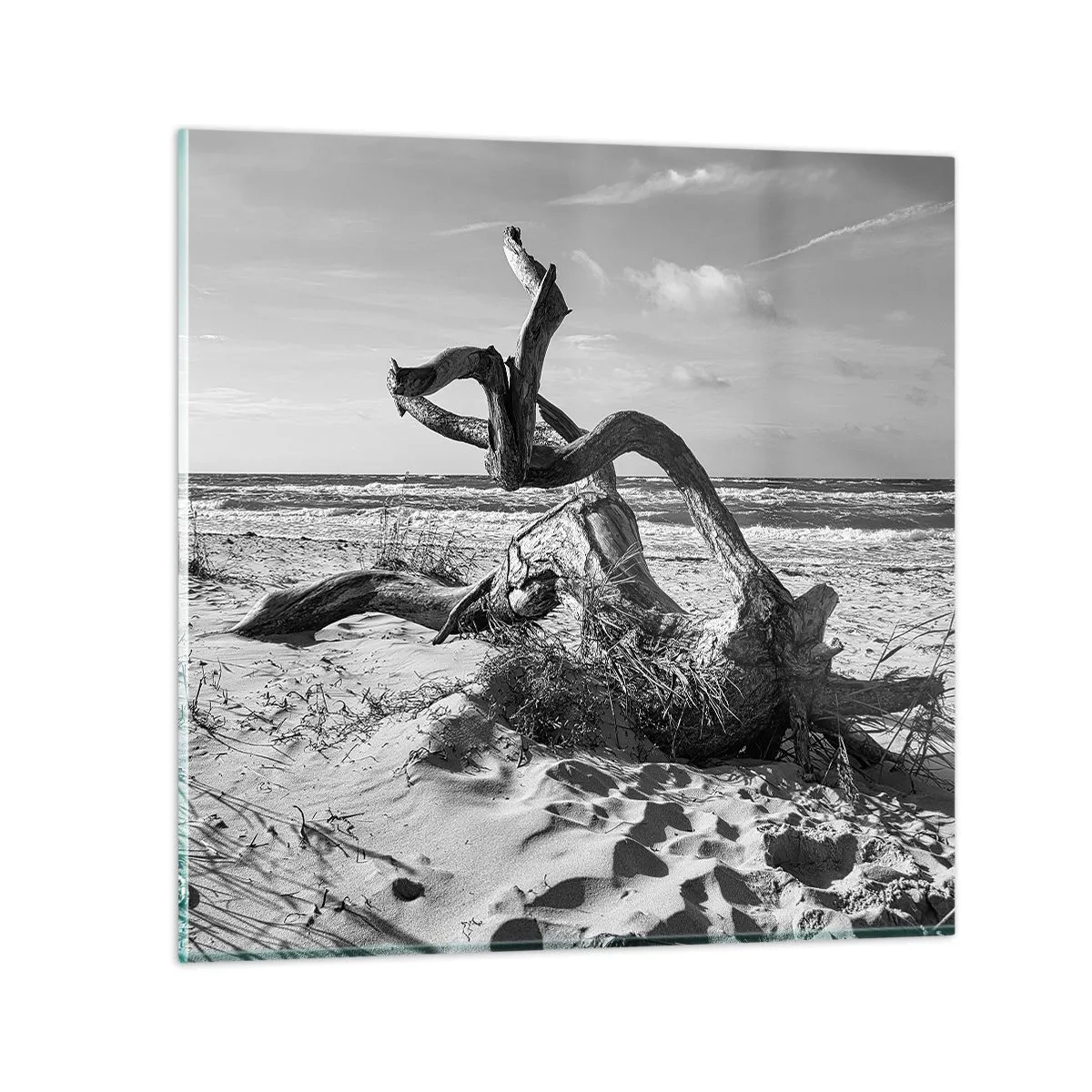Impression sur verre - Image sur verre - Sculpture marine - 40x40 cm