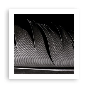 Affiche - Poster - La plume – un design magnifique - 50x50 cm