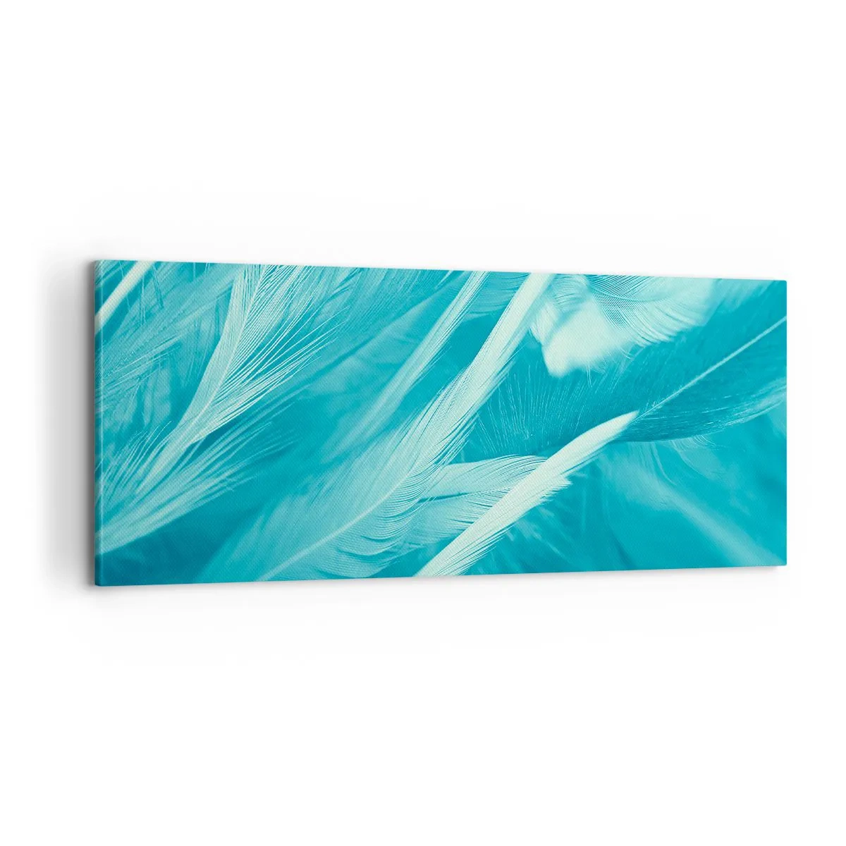 Impression sur toile - Image sur toile - Se noyer dans les plumes - 100x40 cm