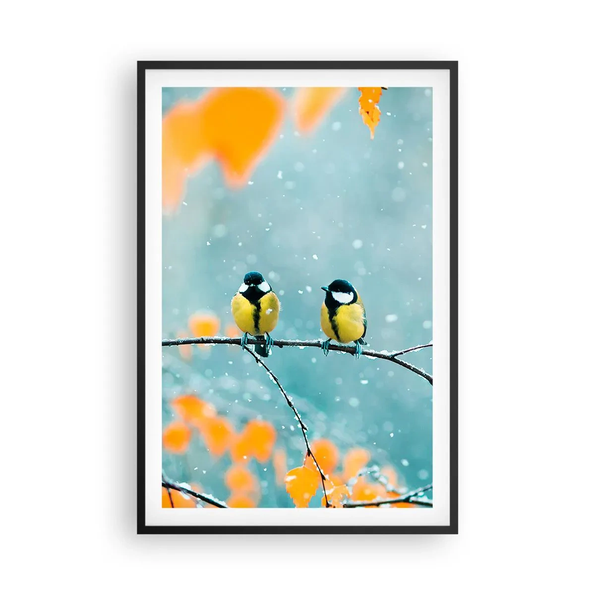 Affiche dans un cadre noir - Poster - Potins d'oiseaux - 61x91 cm