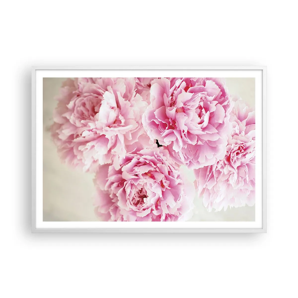 Affiche dans un cadre blanc - Poster - En glamour rose - 100x70 cm