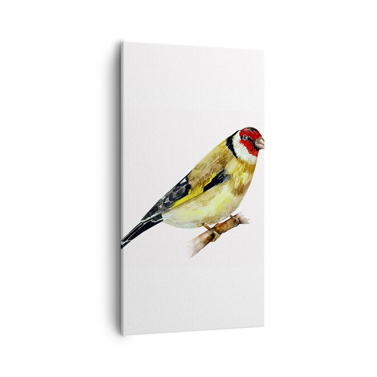Impression sur toile - Image sur toile - Portrait d'oiseau - 55x100 cm