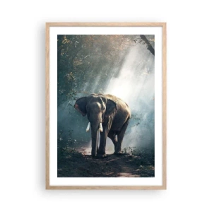 Affiche dans un chêne clair - Poster - Une balade tranquille - 50x70 cm