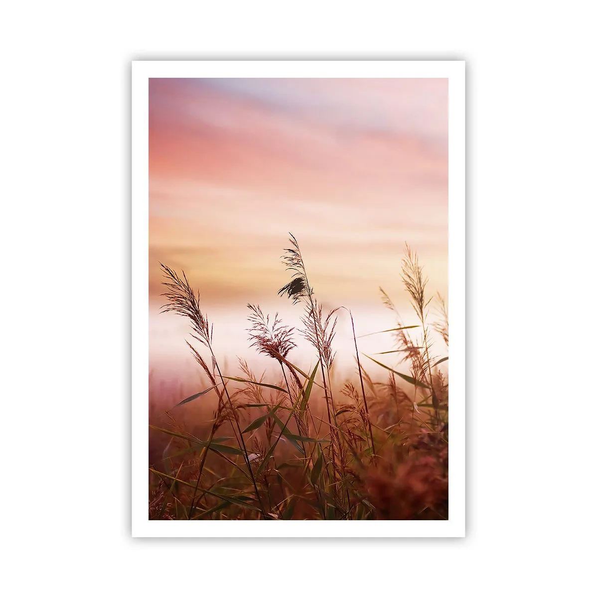 Affiche - Poster - Cerfs-volants, pissenlits, vent - 70x100 cm