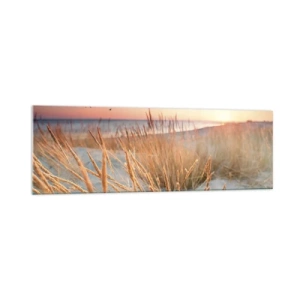 Impression sur verre - Image sur verre - Plage au coucher du soleil avec de hautes herbes - 160x50cm - Berceuse baltique - Décoration murale moderne pour le salon et la chambre ARTTOR