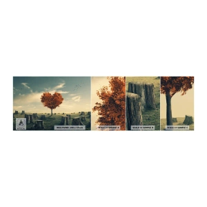 Échantillon de Papier Peint Autocollant Deluxe Sticker - Il y a toujours de l'espoir - Abstraction, Paysage, Arbre - 100x30 cm