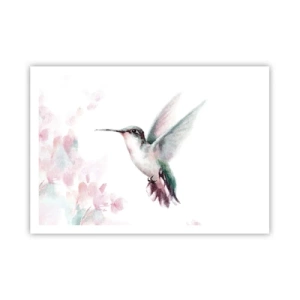 Affiche - Poster - Un colibri aux couleurs pastel délicates sur un fond de fleurs - 100x70cm - Immortalisé dans un battement - Décoration murale moderne pour le salon et la chambre ARTTOR