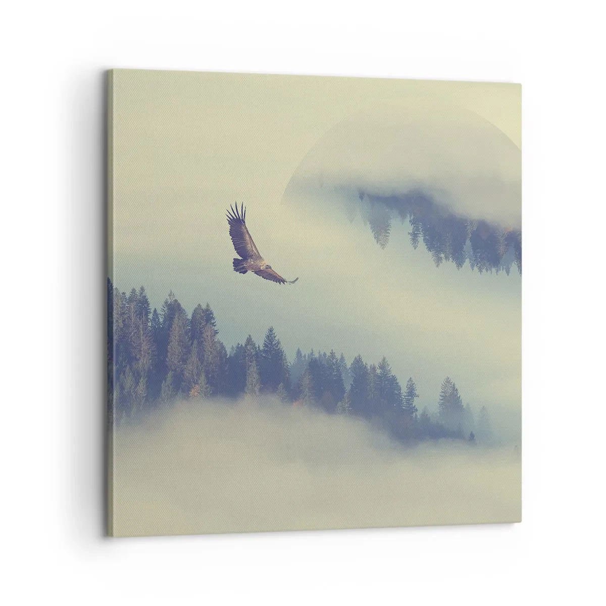 Impression sur toile - Image sur toile - J'ai vu l'ombre d'un aigle - 60x60 cm